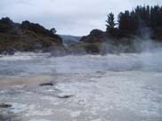 Rotorua - Hells Gate (Mud Pools)